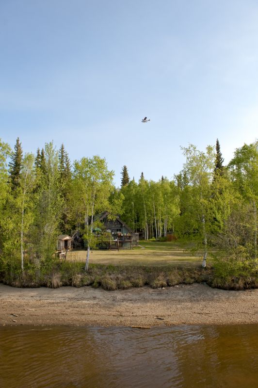 Lake Front Property Clearing