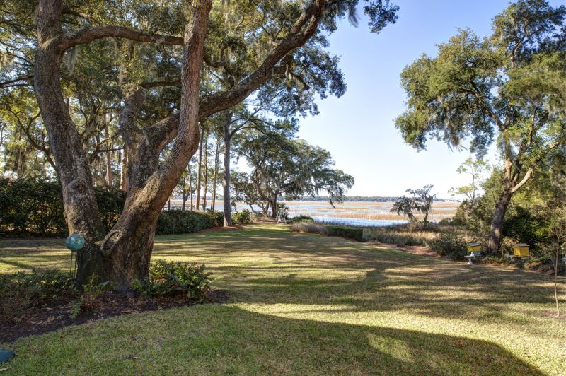 Lake Front Property Clearing