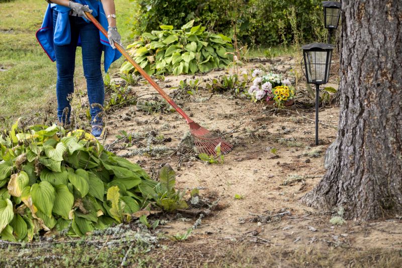 Lake Front Property Clearing