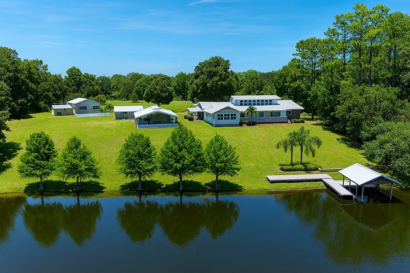 Lake Front Property Clearing