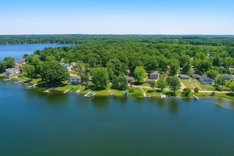 Lake Front Property Clearing