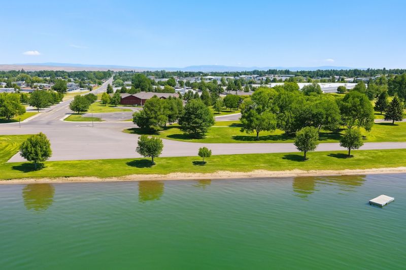 Lake Front Property Clearing