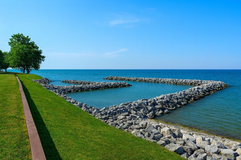 Lake Front Property Clearing