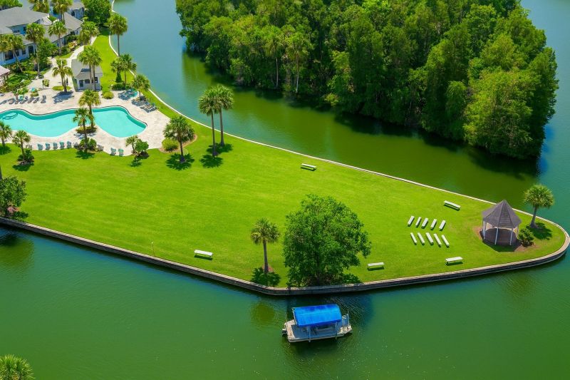 Lake Front Property Clearing