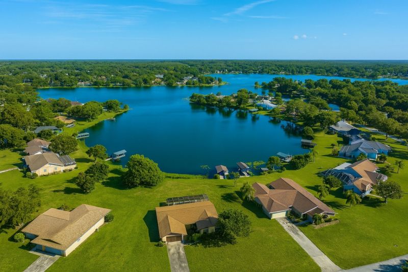 Lake Front Property Clearing