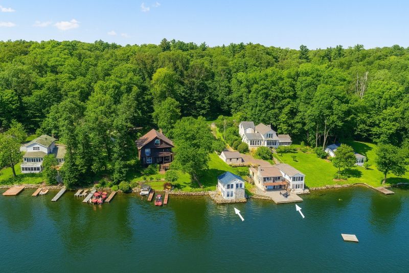 Lake Front Property Clearing