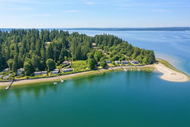 Lake Front Property Clearing