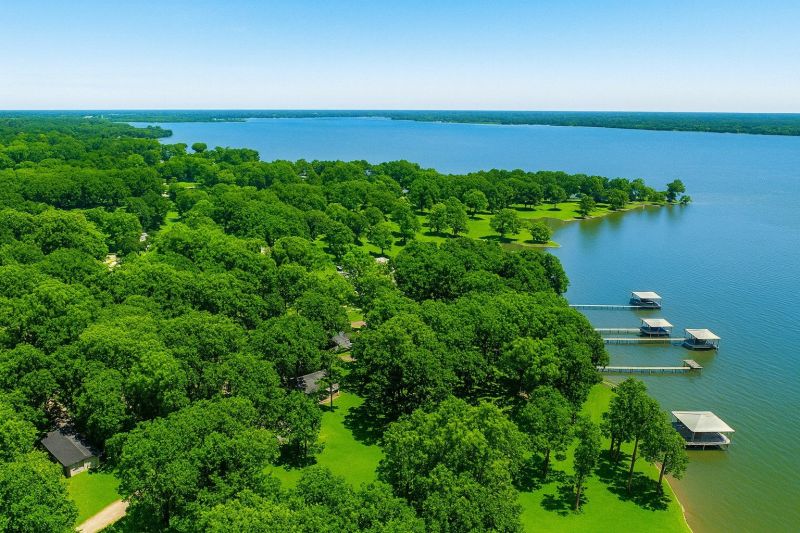 Lake Front Property Clearing